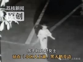 凌晨时分，一名5岁的女童在梦中漫步，当她被发现时，她正孤零零地站在湖畔。-铁马资源分享网