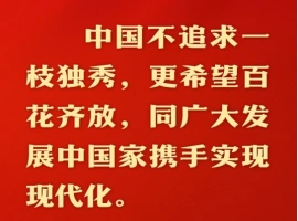 中国式现代化路径选择了和平发展的道路。-铁马资源分享网